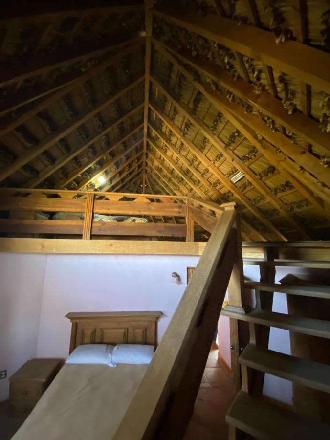 Ecoturismo Cabanas La Florida Cardonal Kültér fotó